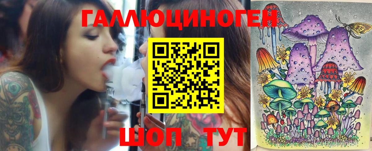 Пугачёв  Галлюциногенные грибы Psilocybine cubensis  Вход с VPN 